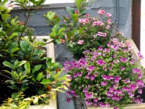 hotel-bnb-ouranoupolis-pansion-athos-guesthouse-01